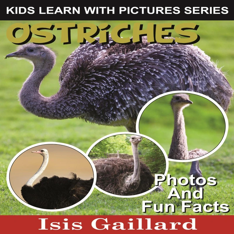 Ostriches Audiobook Libro.fm